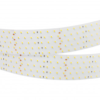 Лента RT 2-2500 24V Day4000 5x2 (2835, 875 LED, LUX) (Arlight, 36 Вт/м, IP20) Arlight 019081(B)