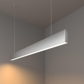 Подвесной светодиодный светильник Elektrostandard LSG-01-1-8 103-16-3000-MS 