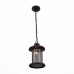 Уличный подвесной светильник ST Luce Lastero SL080.403.01 ST Luce SL080.403.01