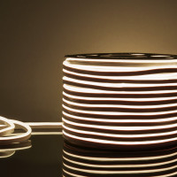 Гибкий неон Elektrostandard 9,6W/m 120LED/m 2835SMD дневной белый 50M