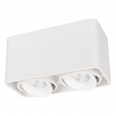 Светильник SP-CUBUS-S195x100-2x8W Day4000 (WH, 45 deg, 230V) (Arlight, IP20 Металл, 3 года) Arlight 036059