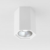 Потолочный светодиодный светильник Elektrostandard 25036/Led 