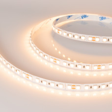 Лента RT-B96-10mm 24V Warm2700 (23 W/m, IP20, 5060, 5m) (Arlight, 23 Вт/м, IP20) Arlight 017425(2)