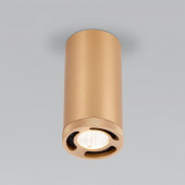 Потолочный светодиодный светильник Elektrostandard Lead 25033/LED золотой