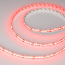 Светодиодная лента CSP-X840-12mm 24V RGBW-Warm (17.2 W/m, IP20, 5m) Arlight 046937