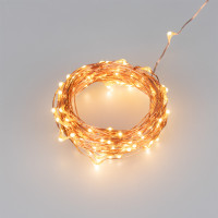 Светодиодная гирлянда ARD-DEW-HOME-10000-100LED-LIVE Warm3000 (5V, USB, ПДУ) 
