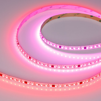 Лента SPI-A120-10mm 24V RGB-PX6-BPT (23 W/m, IP20, 2835, 5m) Arlight 046871