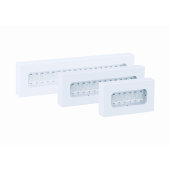 Промышленный светильник PS Pr-30 IP65