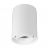 Светильник SP-FOCUS-R110-18W Day4000 (WH, 24 deg, 230V)