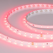 Светодиодная лента RT-A60-8mm 24V Ruby (4.8 W/m, IP20, 5m)