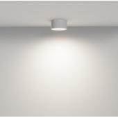 Потолочный светильник Zon 4000K 12W 120°