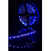 Лента светодиодная стандарт 3528, 60 LED/м, 4,8 Вт/м, 12В , IP20, Цвет: Синий SWG360 SWG 000006