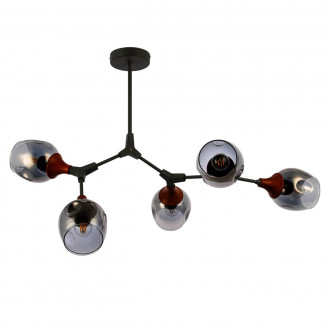 Потолочная люстра Evoluce Ciotolla SLE113402-05 Evoluce SLE113402-05