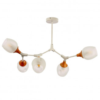 Потолочная люстра Evoluce Ciotolla SLE113502-05 Evoluce SLE113502-05