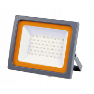 Прожектор светодиодный PFL - SC - 100w  6500K IP65 (матовое стекло) Jazzway 5001428