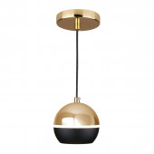 Подвесной светодиодный светильник Elektrostandard DLS023 9W 4200K черный/золото 