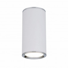 Потолочный светильник Elektrostandard DLN101 GU10 WH белый Elektrostandard a043967