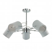 Потолочная люстра Lumion Visario 3522/5C