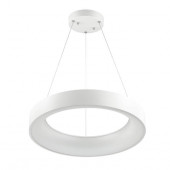 Подвесной светодиодный светильник Odeon Light Sole 4066/50L