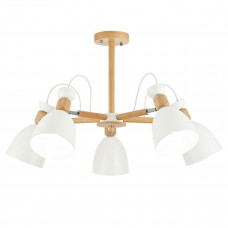 Потолочная люстра Evoluce Balcamo SLE103802-05 Evoluce SLE103802-05