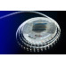 Светодиодная лента 12V IP33 холодное белое свечение DesignLed 000513