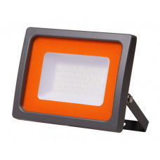 Прожектор светодиодный PFL -SC-30w 6500K IP65 (матовое стекло) Jazzway 5001404