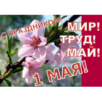С праздником Весны и Труда!