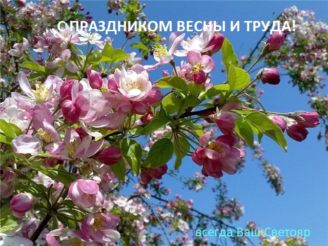 С праздником Весны и Труда!