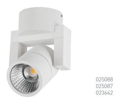 В лучах света